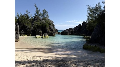 Cruise, Luxury & Expedition Travel Advisor