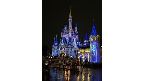 Cinderella's Castle