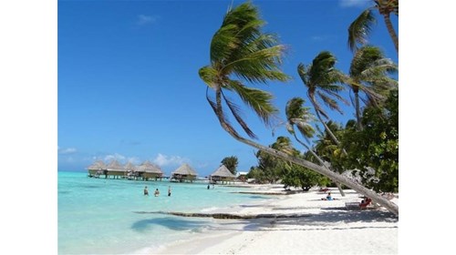 Curating luxury cruises to iconic destinations