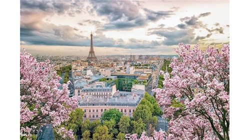 Paris in the Spring is extraordinary!