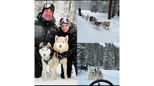 Dog sledding in Breckenridge