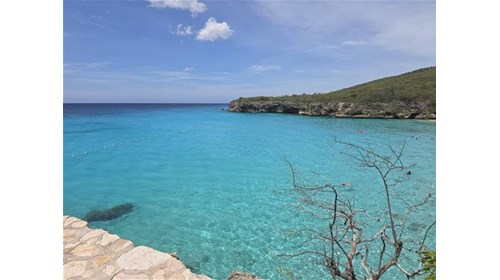 This could be your Curaçao view