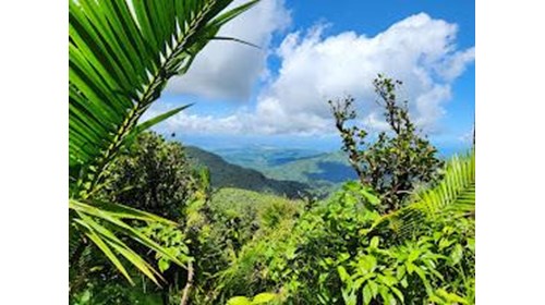El Yunque Rainforest, Puerto Rico