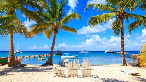 Paradise!