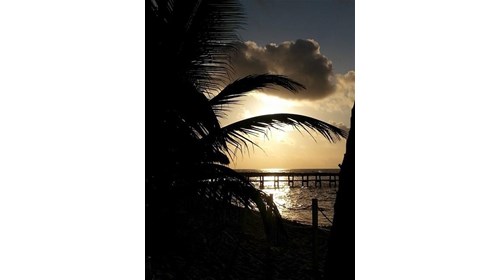 Beautiful day in Riviera Maya