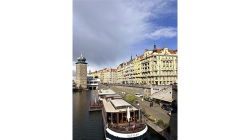 Experienced Travel Advisor 