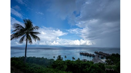 Moorea