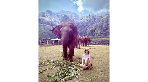 Elephant Highlands in Chiang Mai, Thailand