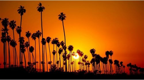 Sunset & Savor: California Travel Agent Specialist
