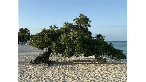 All-Inclusive, Europe & Cruise Travel