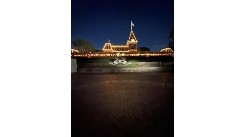 Disneyland 2025