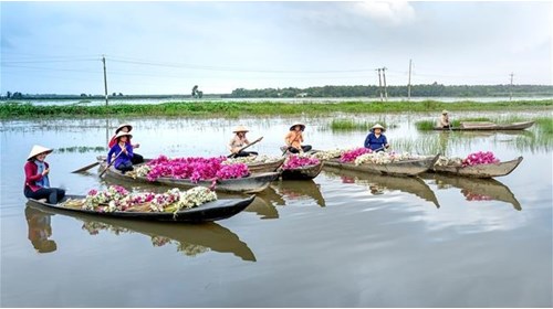 Vietnam Travel Agent Specialist