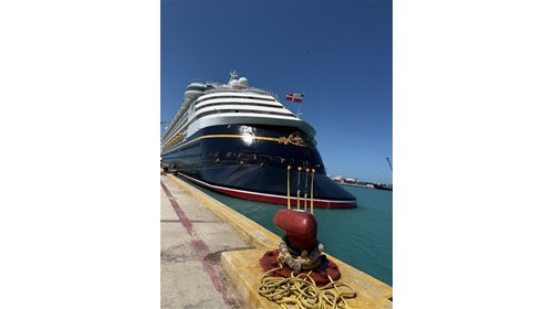 Disney Magic in Progresso Mexico