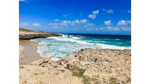 Aruba