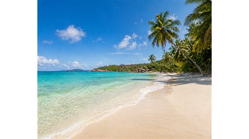 Italy, Caribbean & Luxury Cruise Travel Advisor
