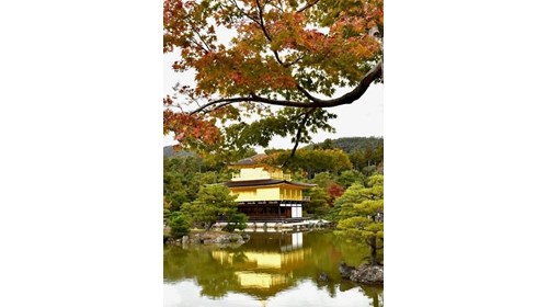 Kyoto, Japan - Kinkaku-ji Golden Pavillion