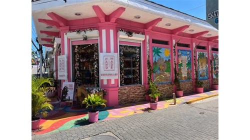 Image of bright pink building with murals 