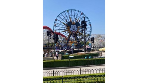 California Adventure Icon