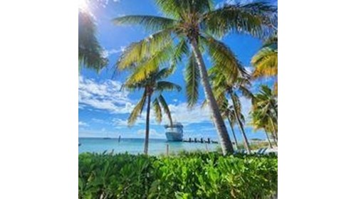 All Inclusive, Adult Only, Cruises, Theme Park