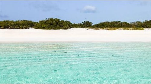 Turks & Caicos Travel Agent Expert