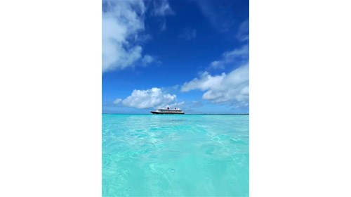 Two Agents, One Mission; Cruises and Theme Parks