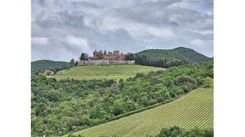 Brolio Castle, Ricasoli Vineyard, Gaiole Chianti