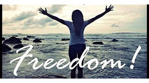Boundless Horizons: Where Freedom Meets Adventure