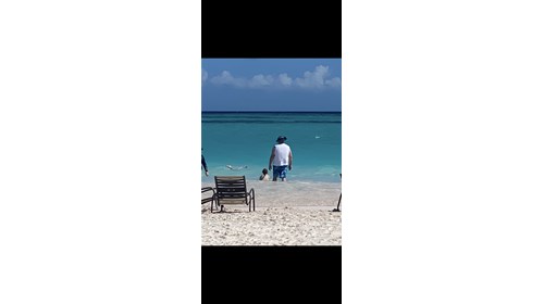 Bimini