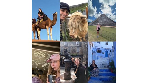 Some of my adventures. I love dogs/animals!