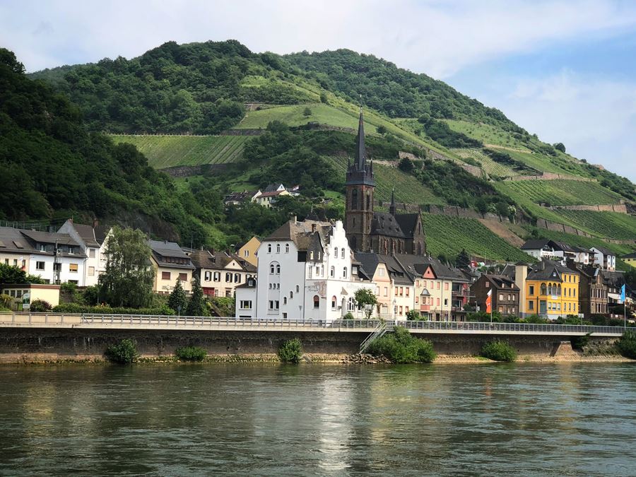 Vineyards and Castles on Rhine River