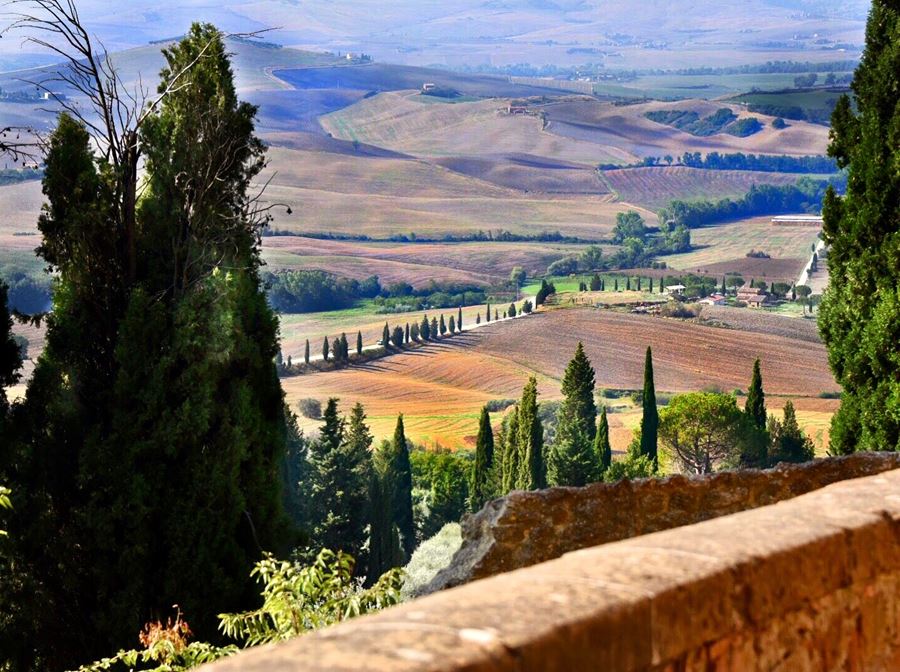 The Golden Val d'Orcia Italy 