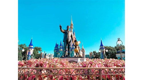 Specializing in Disney Vacations