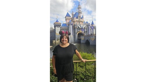 The beautiful Sleeping Beauty Castle