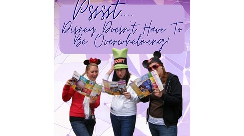 Walt Disney World Travel Expert
