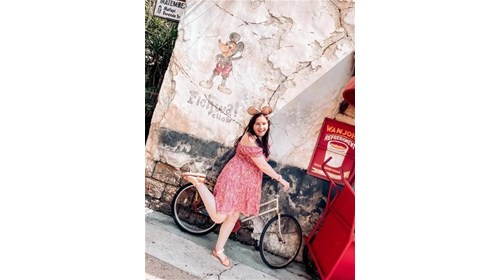 Curated Disney Destinations Vacations