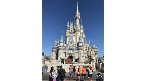 Disney World Specialist
