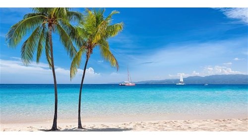WHY SHOULD YOU BOOK WITH ME?
