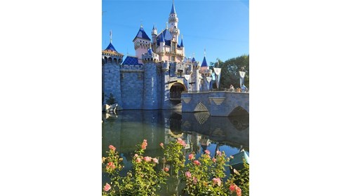 Disney Travel Specialist and Travel Advisor