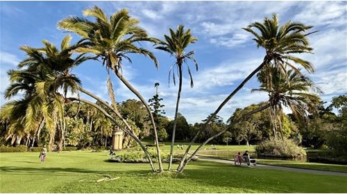 Australia Travel Agent: Delicious Down Under