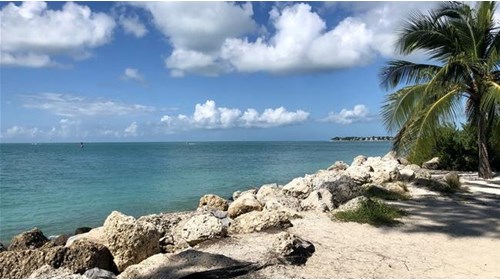 Magic Maker: Florida Travel Agent Expert