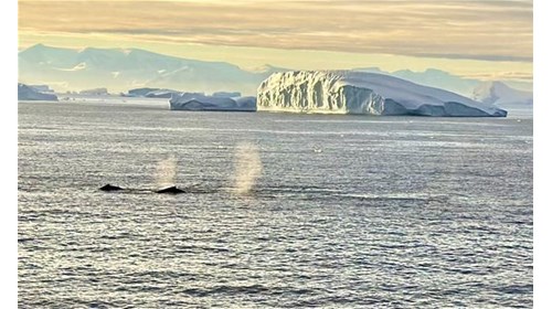 Expedition Travel Expert