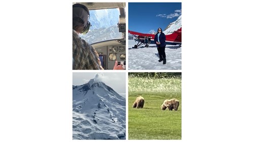 Bear Viewing and Glacier Landing