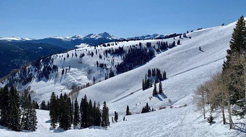 Colorado Ski Travel Agent Specialist 