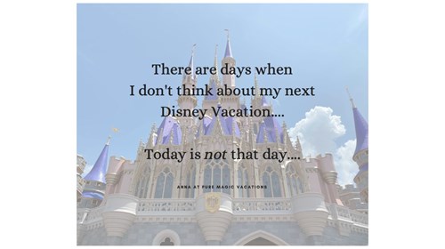 EXPERIENCED DISNEY VACATION PLANNER