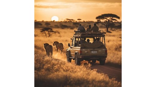 Kenya Travel Specialist