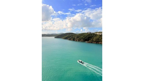 Cruise Specialist