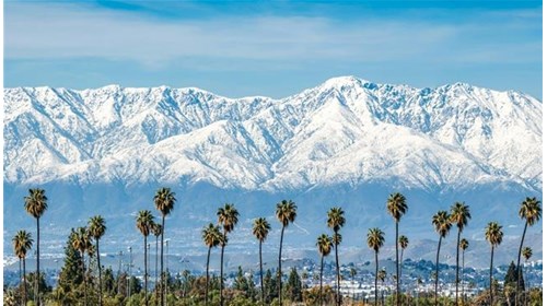 California Travel Agent Advisor 