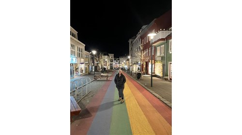 Travel Agent Specializing in Iceland