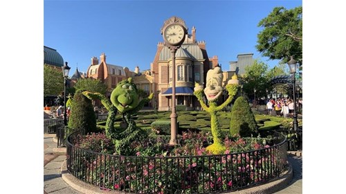 Theme Park & Family Vacation Expert