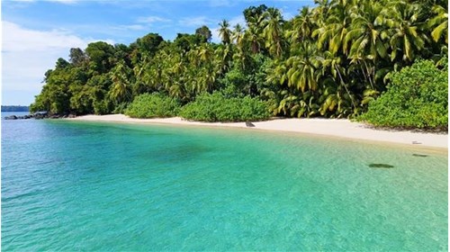 Global Beach Travel Specialist